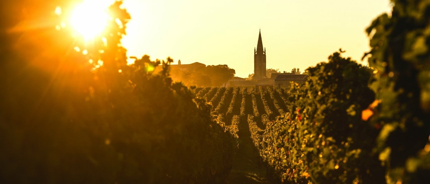 Saint-Emilion - Wine Paths